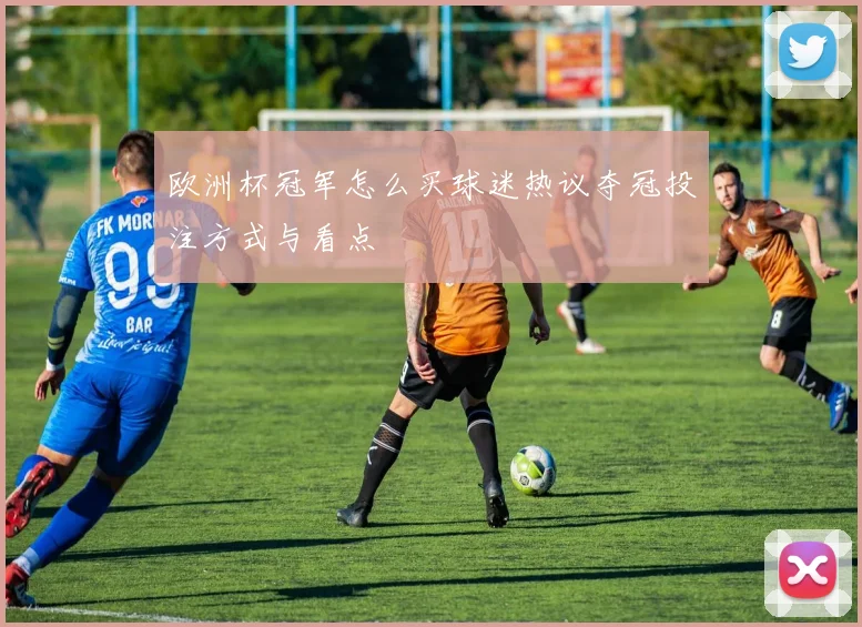 欧洲杯冠军怎么买球迷热议夺冠投注方式与看点
