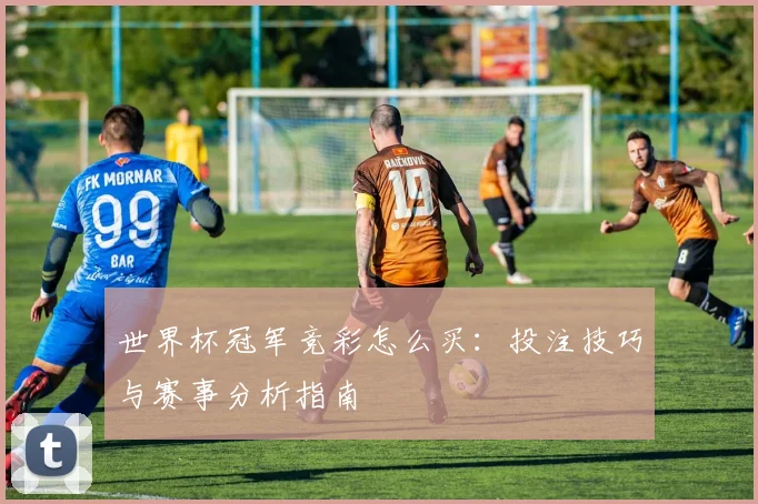 世界杯冠军竞彩怎么买:投注技巧与赛事分析指南