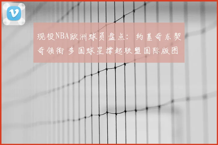 现役NBA欧洲球员盘点：约基奇东契奇领衔 多国球星撑起联盟国际版图