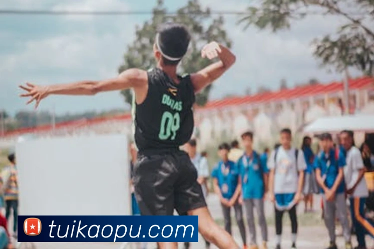 世界杯官方网络平台平台生态图