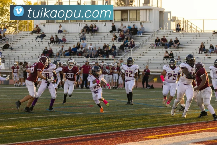 世界杯官方网络平台全站App